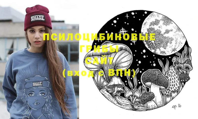 omg ссылка  Николаевск-на-Амуре  Галлюциногенные грибы Psilocybe 